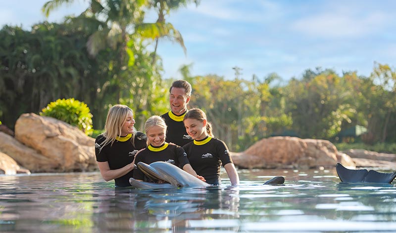 Swim with dolphins at Discovery Cove Orlando