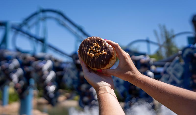 Donut