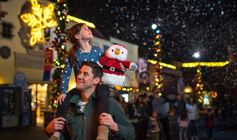 Christmas Celebration event at SeaWorld Orlando