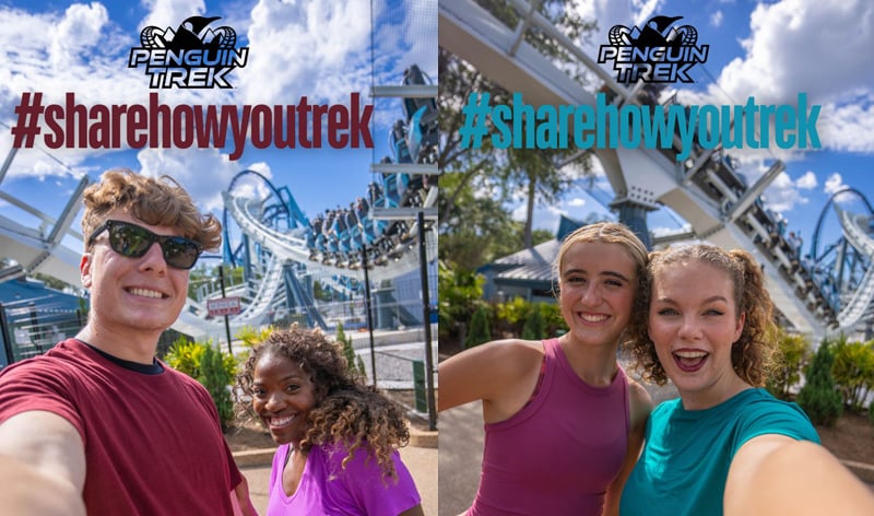 share how you trek