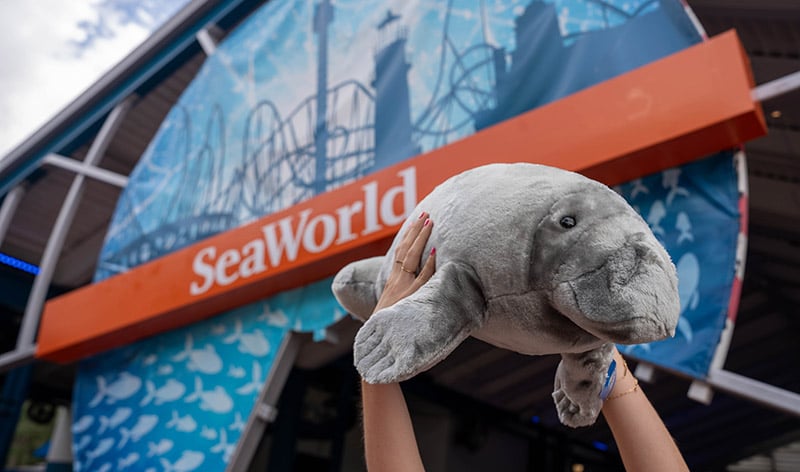 Manatee plush