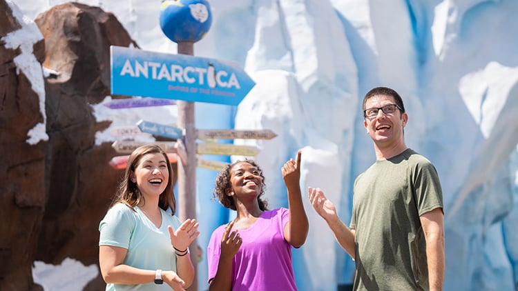 Antarctica Realm at SeaWorld Orlando