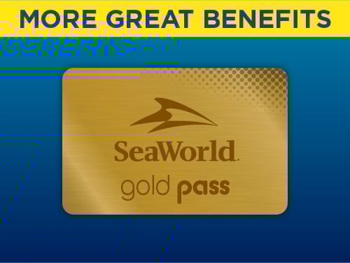 Gold Pass