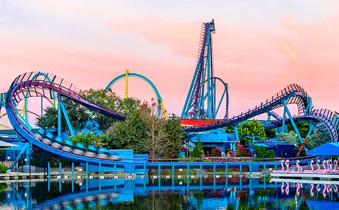 Mako rollercoaster at sunset