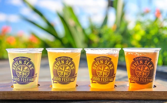 Beer Flight at Seaworld Seven Seas Food Festival