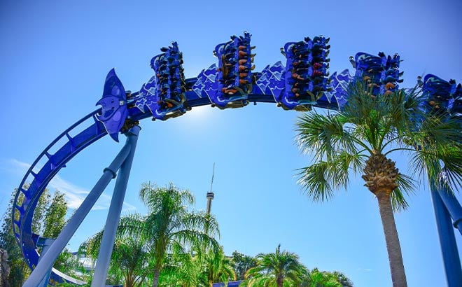 Manta Roller Coaster at SeaWorld Orlando