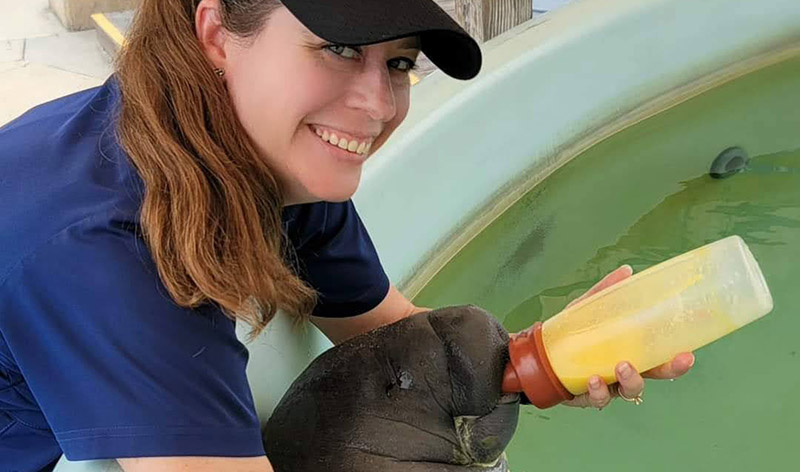 Manatee Bottle Feeding