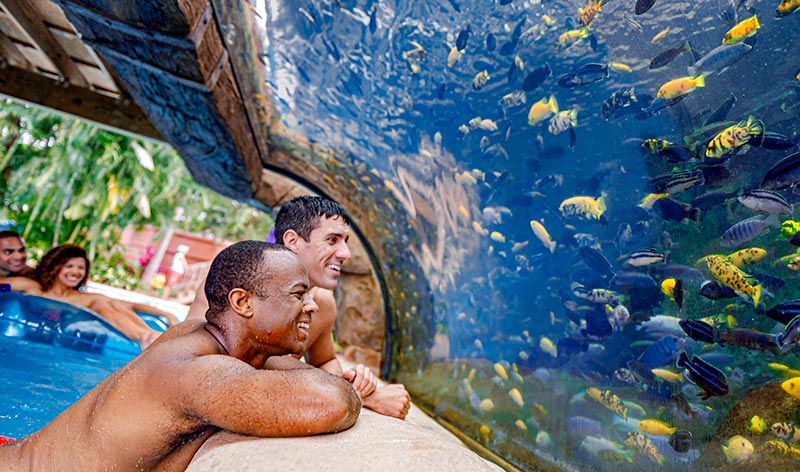 Fish Grotto at Aquatica Orlando