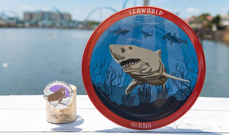 Pass Member Pin and Plate for July