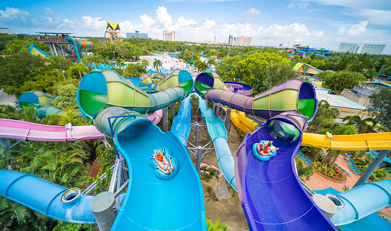 Omaka Rocka at Aquatica Orlando