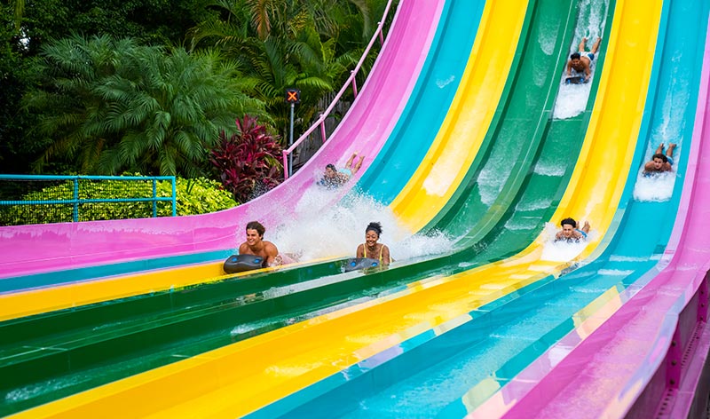 Taumata Racer at Aquatica Orlando