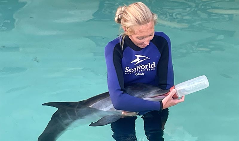 Rescued Baby Dolphin