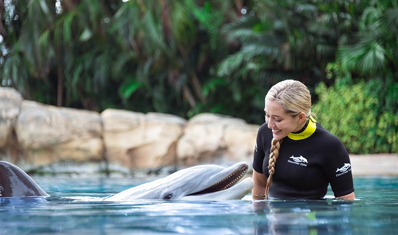 Dolphin swim at Discovery Cove