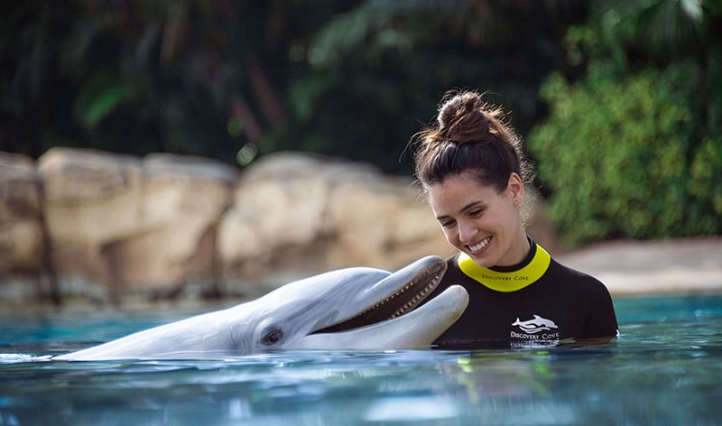 Dolphin swim at Discovery Cove Orlando