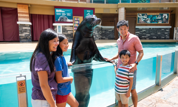Seaworld tours
