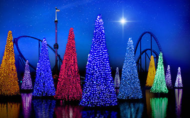 Holiday Parties at SeaWorld Orlando