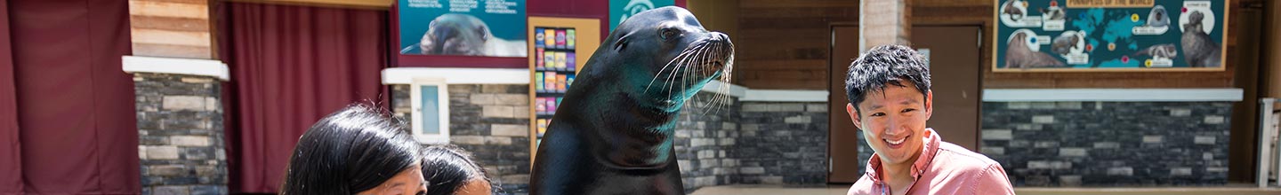 Sea Lions Up Close Tour