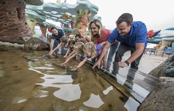 Family Adventure Tour at SeaWorld San Diego