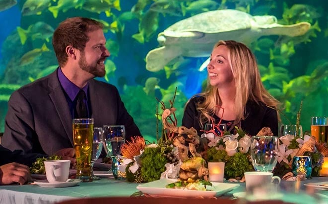 Corporate dinner at Turtle Reef SeaWorld San Diego