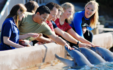 Group Events Group Tours